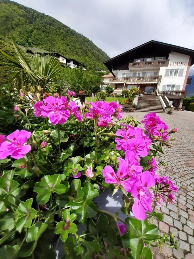 Chalet Anna مارلينغو المظهر الخارجي الصورة