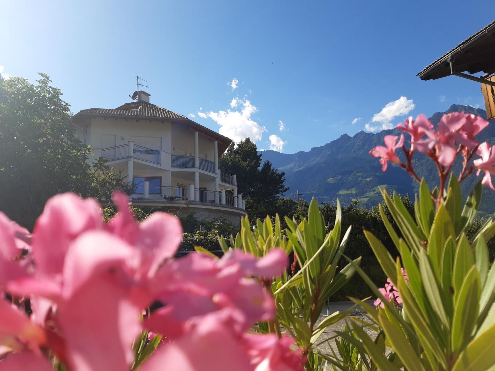 Chalet Anna مارلينغو المظهر الخارجي الصورة